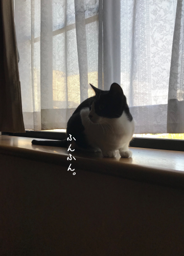a0216583_10330303.png