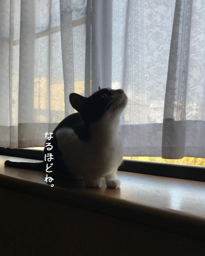 a0216583_10330820.png
