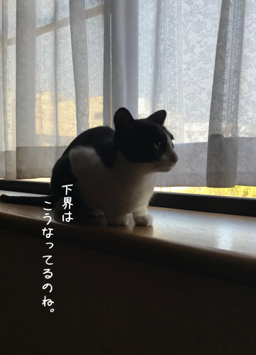 a0216583_10331228.png