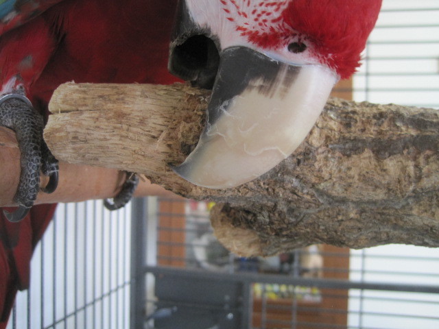 f0234590_10013994.jpg