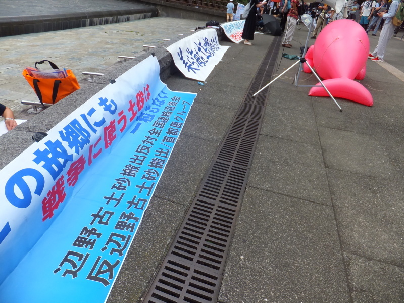 沖縄県民大会に呼応する首都圏大行動に2800人!_d0391192_21510443.jpg
