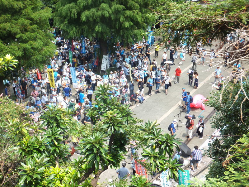 沖縄県民大会に呼応する首都圏大行動に2800人!_d0391192_21520486.jpg
