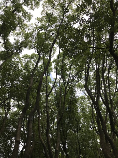 f0204295_13192548.jpg