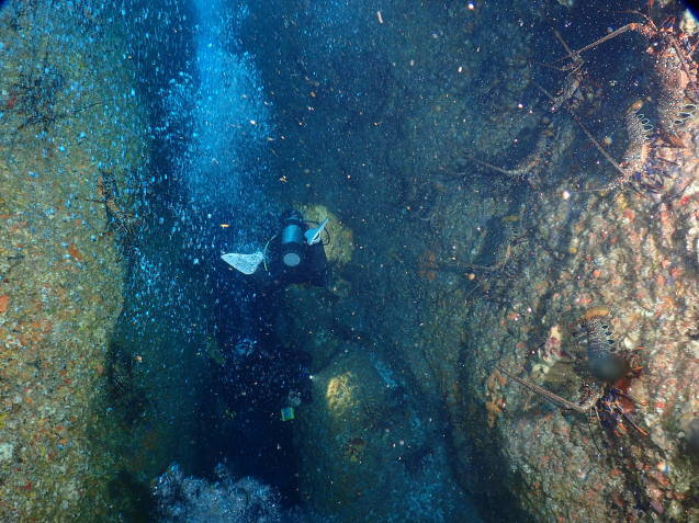e0115199_18180334.jpg