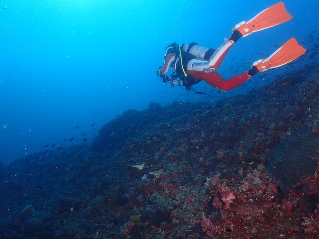 e0115199_19042447.jpg