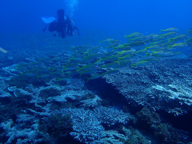 e0115199_19534101.jpg