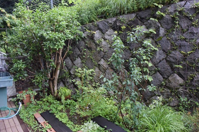 c0124100_11403567.jpg