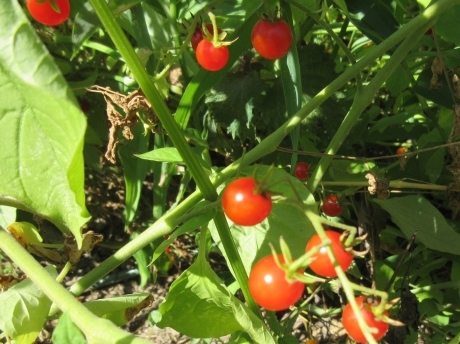 a0203003_20394176.jpg