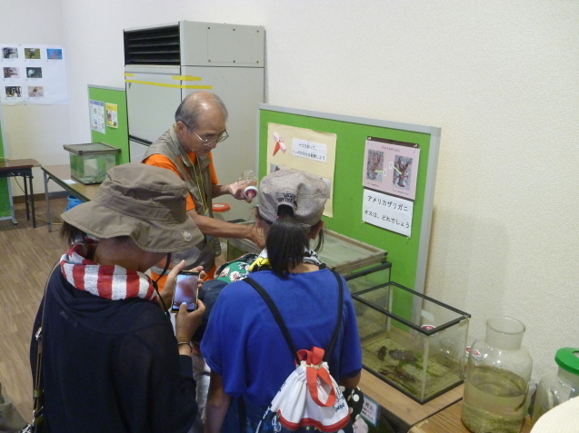 生き物でつなぐ大牟田の山・川・海_c0290504_12480990.jpg