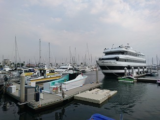 d0091909_10093618.jpg