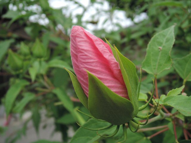 f0373109_07441795.jpg