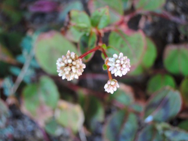 f0373109_07455555.jpg