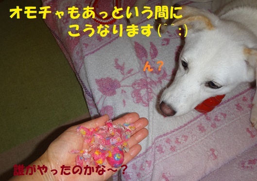 f0121712_15451357.jpg