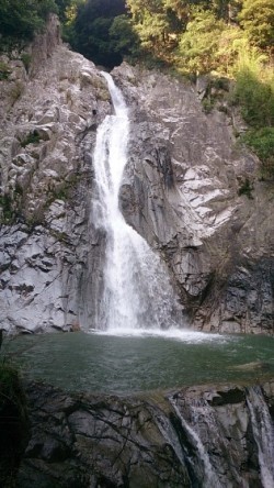お手軽自然(岡)_f0354314_23393840.jpg