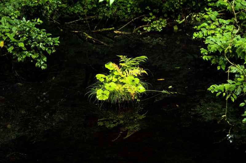 d0370716_17141073.jpg
