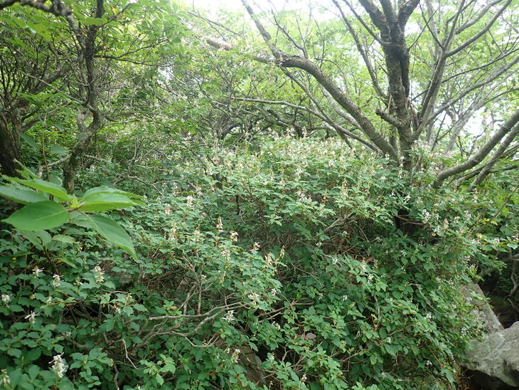 f0193521_1036952.jpg