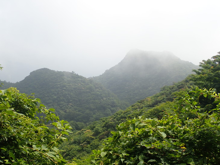 f0193521_84110.jpg