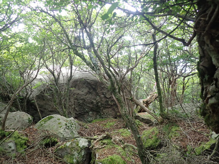 f0193521_88740.jpg