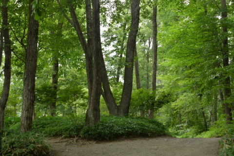 e0335926_16301337.jpg