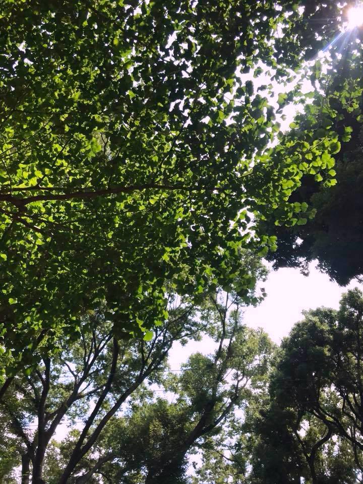 朝ラン_a0231828_22311613.jpg