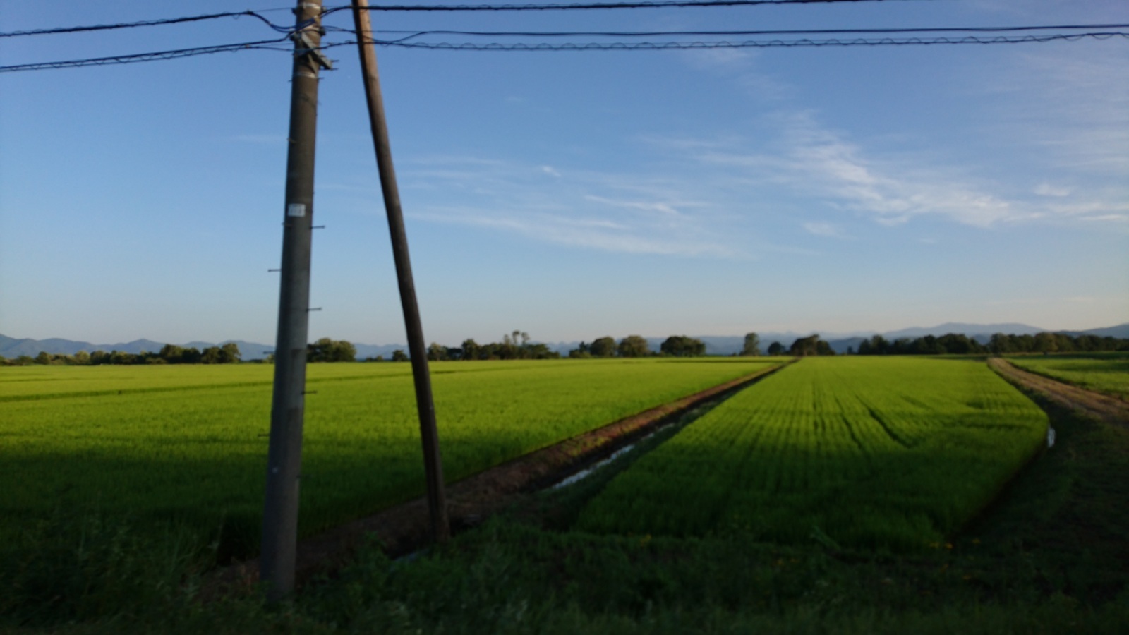 d0372528_23490327.jpg