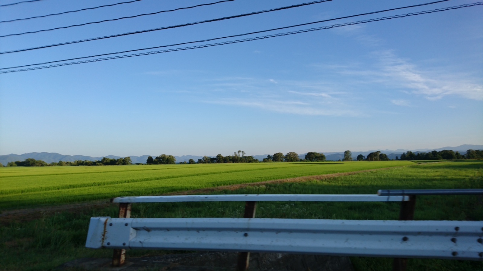 d0372528_23491570.jpg