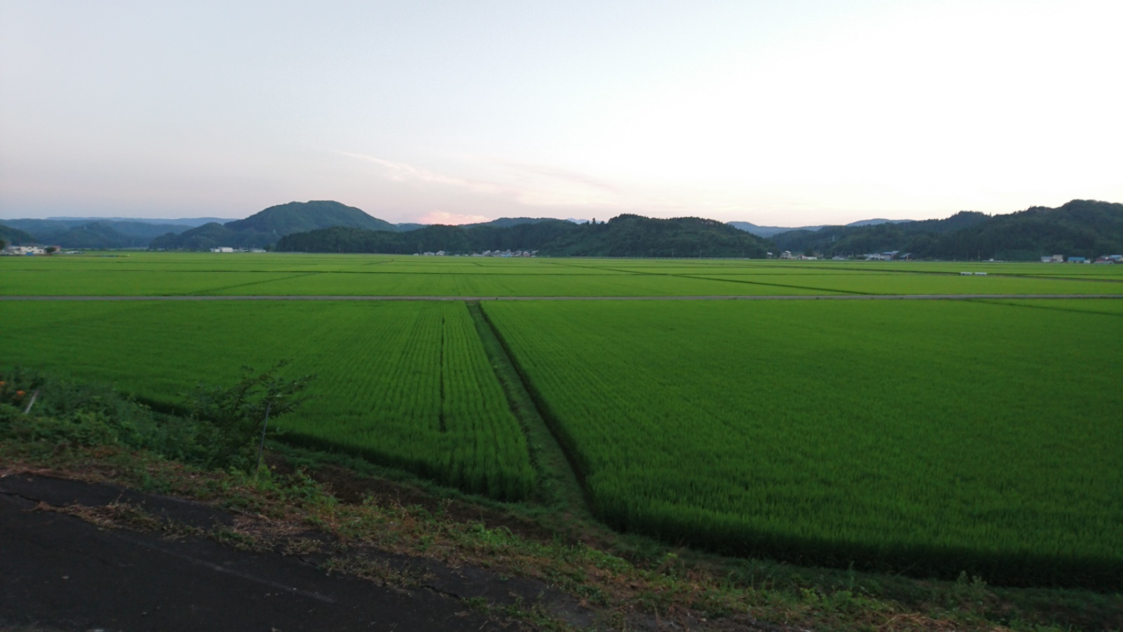 d0372528_23492504.jpg