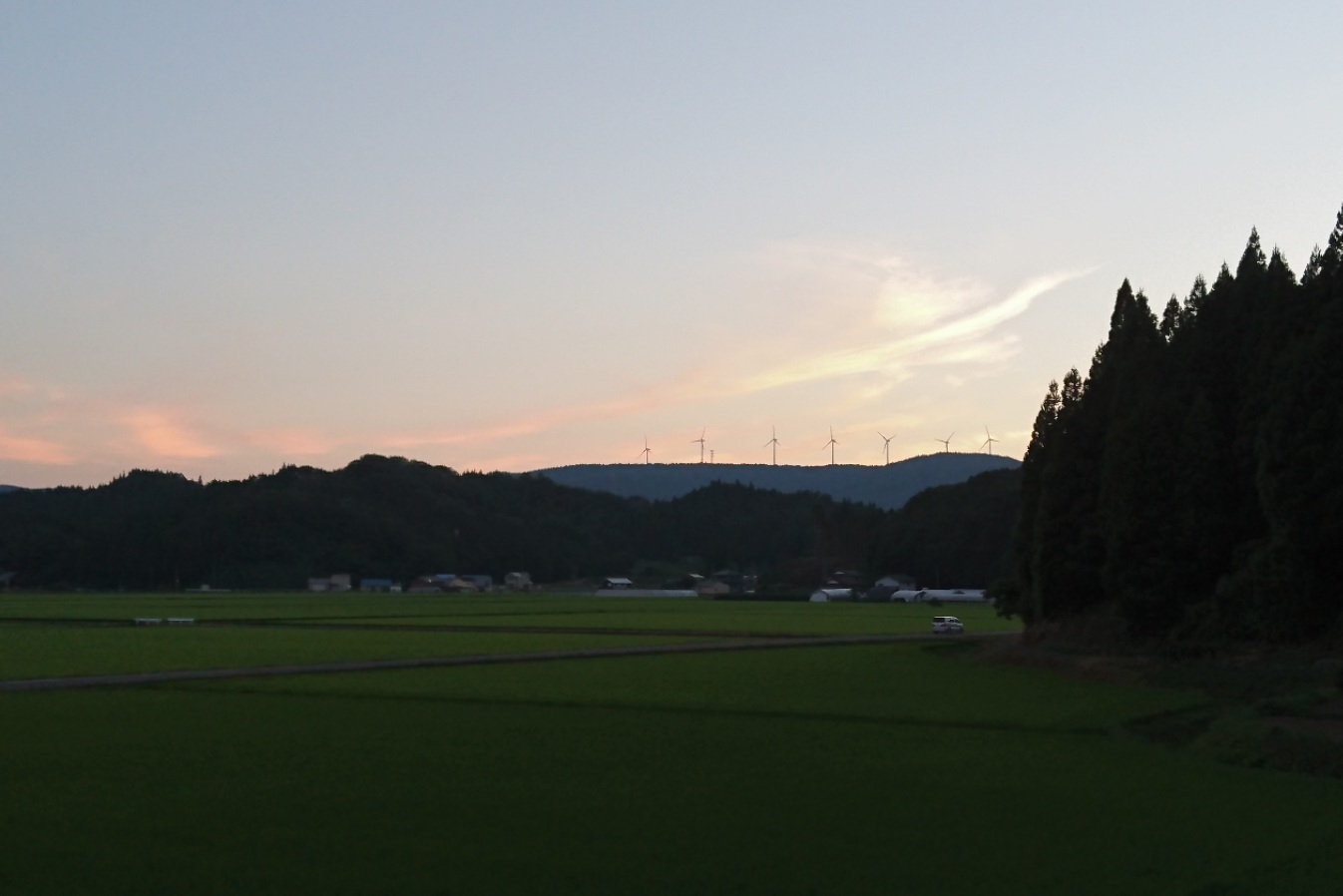 d0372528_23501602.jpg