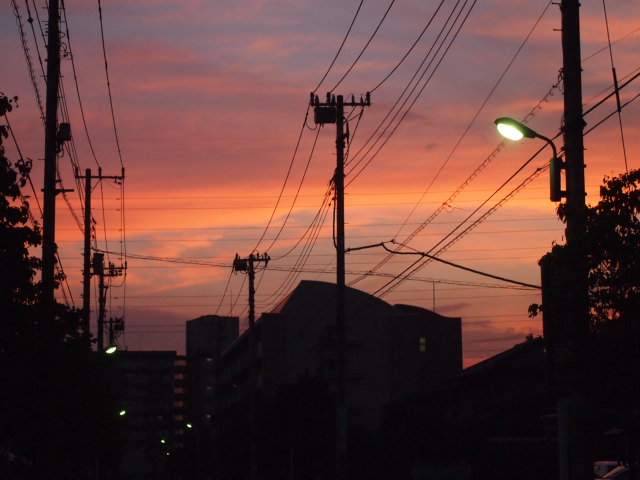 a0214329_15411866.jpg