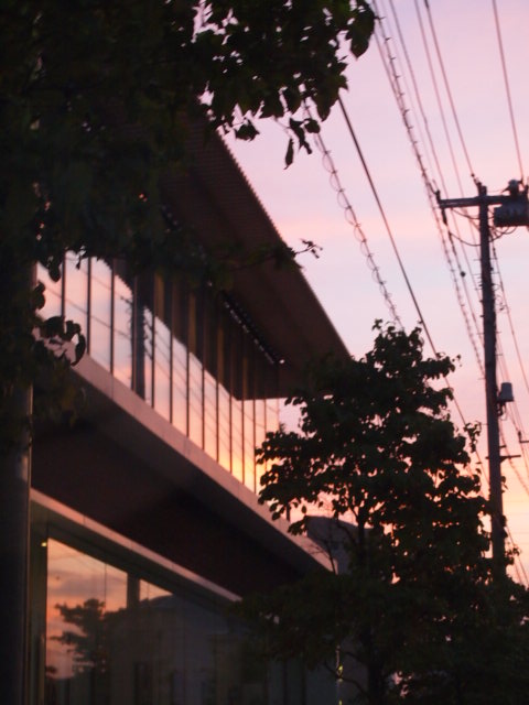 a0214329_15454532.jpg