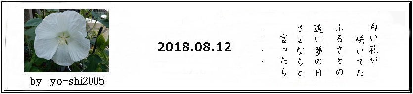 e0033229_1785593.jpg