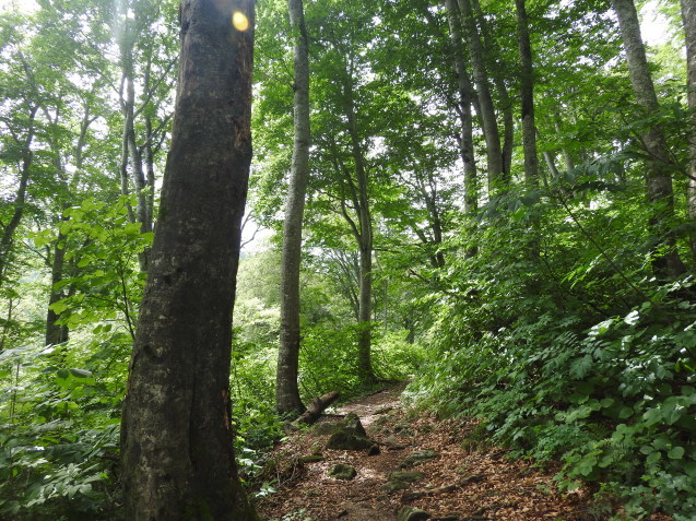 f0118332_01332508.jpg