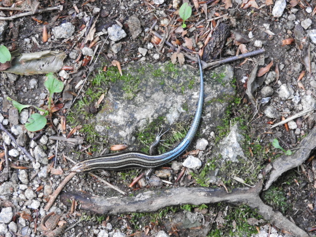 f0118332_01335870.jpg