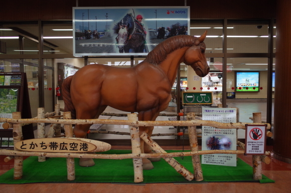 実家へ帰らせていただきます その1～北海道の翼 AIR DO_a0287336_10132194.jpg