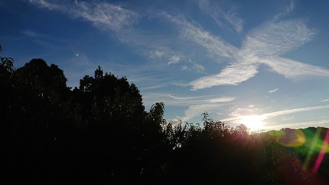 c0175339_01233665.jpg