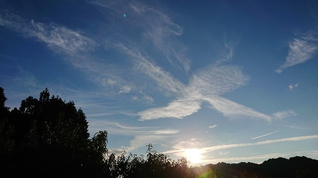 c0175339_01233970.jpg