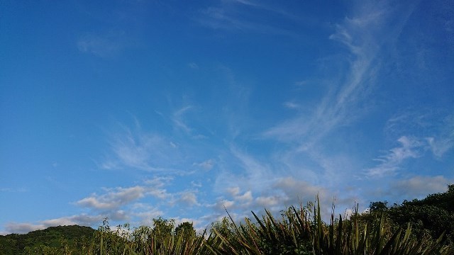 c0175339_01255177.jpg