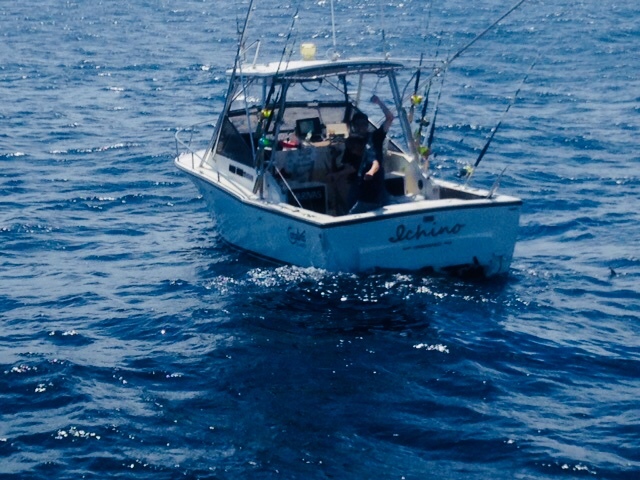 f0009039_17441022.jpeg