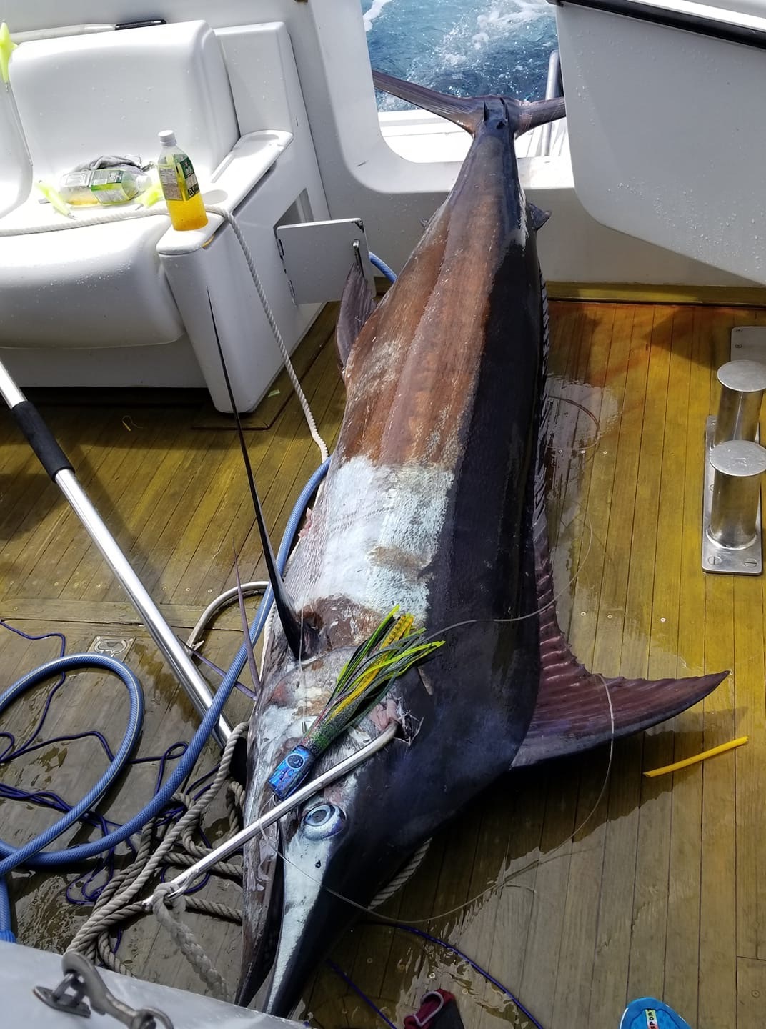 f0009039_18452091.jpeg