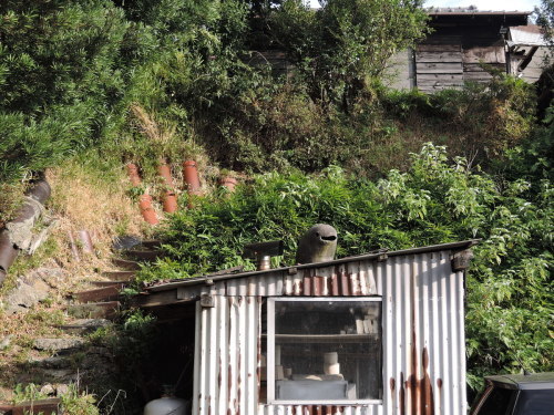 b0075140_00283135.jpg