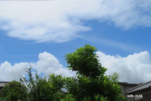 e0365941_21423563.jpg