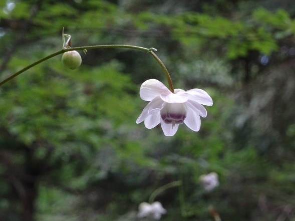 b0299042_19345271.jpg