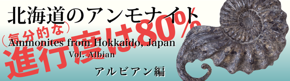 来てないわな、青い貝⁉️〜8/25 伊勢、国府海岸_c0312349_13133570.png