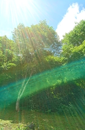c0151053_21202710.jpg