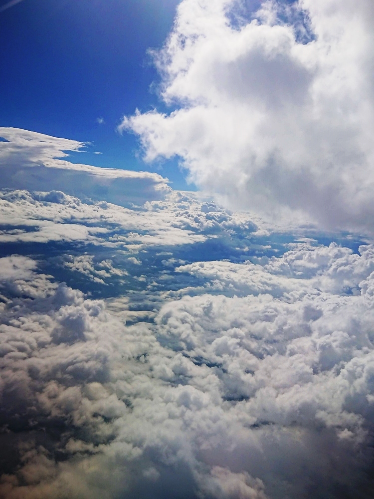 d0039059_12300711.jpg
