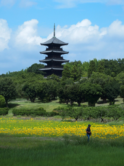 備中国分寺_c0122670_21062378.jpg