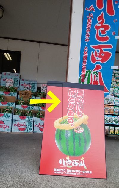 8/12 孫と息子の帰省_b0161371_14512358.jpg