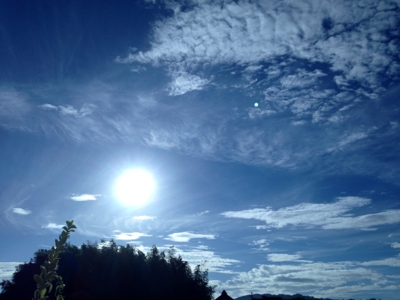 命の繋がり・限りない空へ***_e0290872_07254883.jpg
