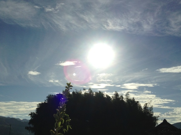 命の繋がり・限りない空へ***_e0290872_07292159.jpg