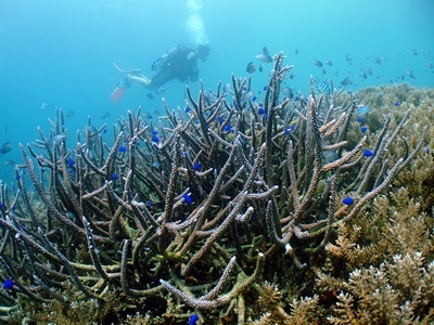 b0033573_22053477.jpg